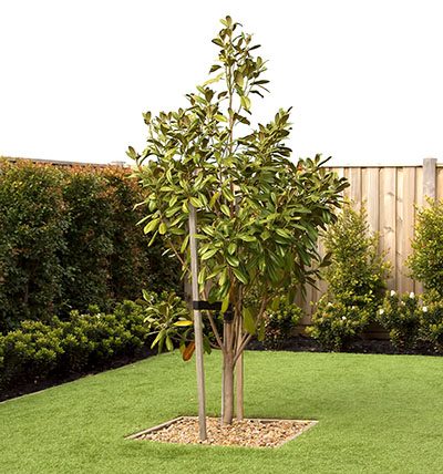 Landscaping combinations of artificial grass and plants, back yard exterior design